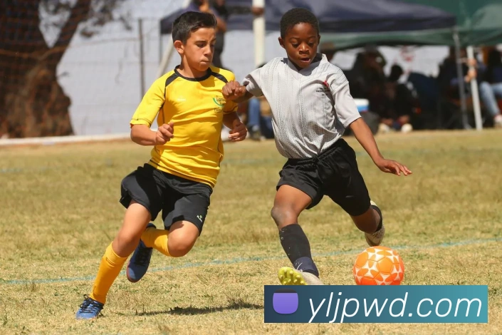 问鼎娱乐全站App 问鼎娱乐全站App